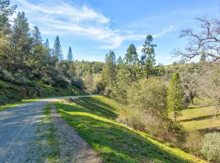 12442 Trembath Mtn Rd, Fiddletown, CA 95629 Photo