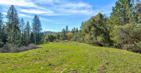 12442 Trembath Mtn Rd, Fiddletown, CA 95629 Photo