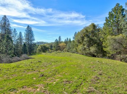 12442 Trembath Mtn Rd, Fiddletown, CA 95629 Photo