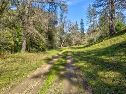 12442 Trembath Mtn Rd, Fiddletown, CA 95629 Photo