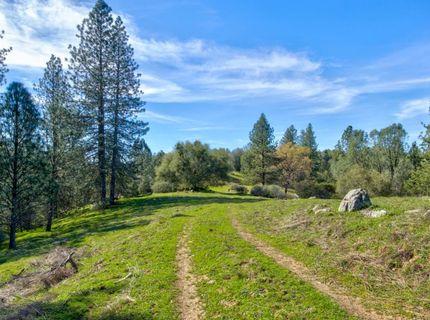 12442 Trembath Mtn Rd, Fiddletown, CA 95629 Photo