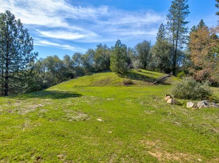 12442 Trembath Mtn Rd, Fiddletown, CA 95629 Photo