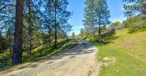 12442 Trembath Mtn Rd, Fiddletown, CA 95629 Photo