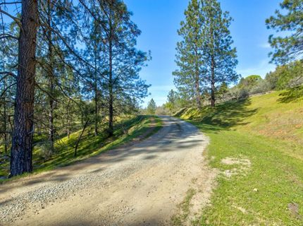 12442 Trembath Mtn Rd, Fiddletown, CA 95629 Photo