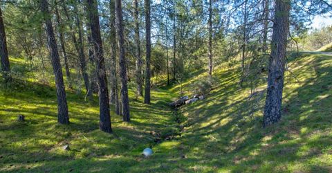 12442 Trembath Mtn Rd, Fiddletown, CA 95629 Photo