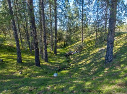 12442 Trembath Mtn Rd, Fiddletown, CA 95629 Photo