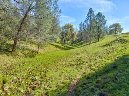 12442 Trembath Mtn Rd, Fiddletown, CA 95629 Photo