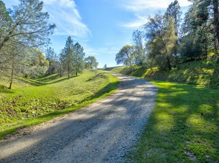 12442 Trembath Mtn Rd, Fiddletown, CA 95629 Photo