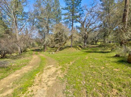 12442 Trembath Mtn Rd, Fiddletown, CA 95629 Photo