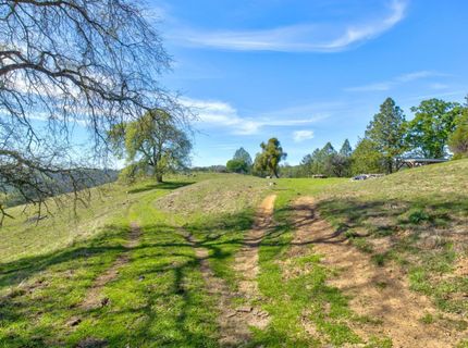 12442 Trembath Mtn Rd, Fiddletown, CA 95629 Photo