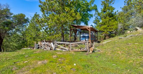 12442 Trembath Mtn Rd, Fiddletown, CA 95629 Photo