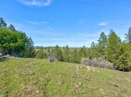 12442 Trembath Mtn Rd, Fiddletown, CA 95629 Photo