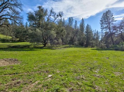 12442 Trembath Mtn Rd, Fiddletown, CA 95629 Photo