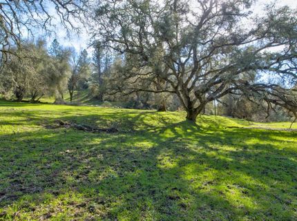 12442 Trembath Mtn Rd, Fiddletown, CA 95629 Photo