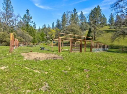 12442 Trembath Mtn Rd, Fiddletown, CA 95629 Photo