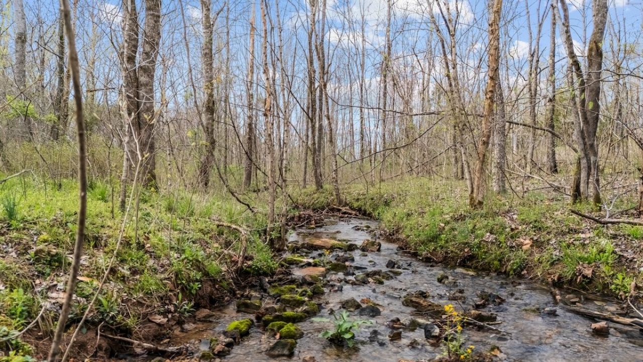 6455 Highway 48 N, Cumberland Furnace, TN 37051 Main Photo