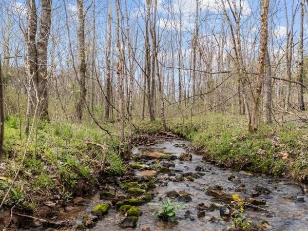 6455 Highway 48 N, Cumberland Furnace, TN 37051