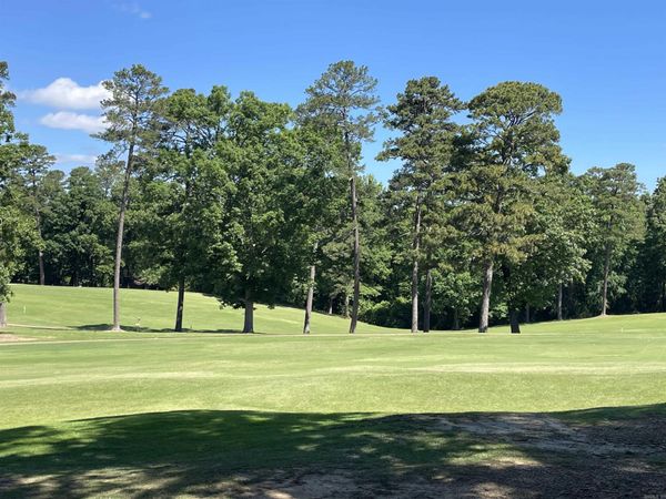 13 Ensenada Lane, Hot Springs Village, AR 71909