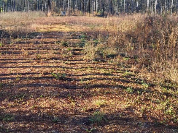 1575 Purvis To Baxterville, Purvis, MS 39475