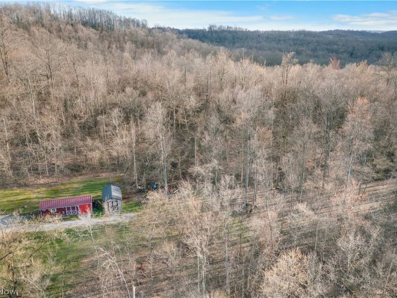 18990 New Gottengen Road, Salesville, OH 43778 Photo 22