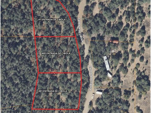 1-85-81 Entrada De Cibola , Tijeras, NM 87059