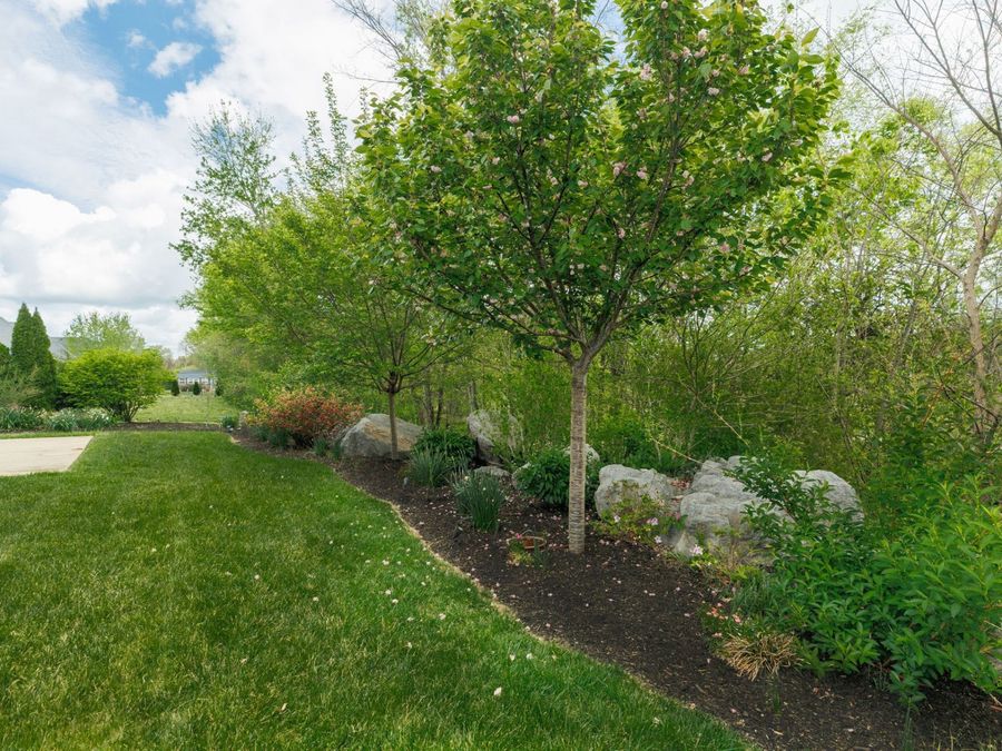 Property Image 56