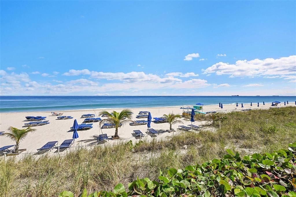 3700 Galt Ocean Drive, Unit 612, Fort Lauderdale, FL 33308 Photo