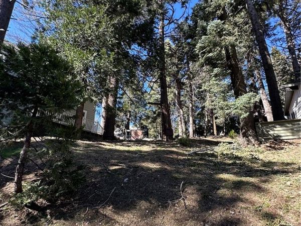 742 W Victoria Court, Lake Arrowhead, CA 92352
