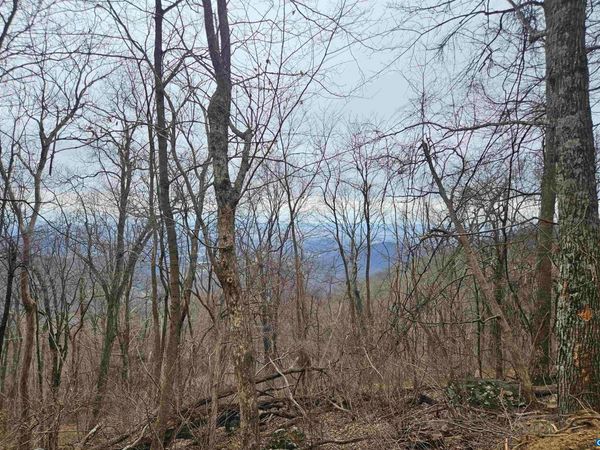 TBD Lot 17 & 18 SPRING BRANCH LN, Free Union, VA 22940