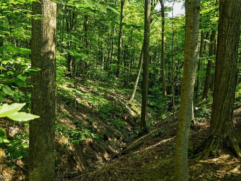 3621 Seven Oaks Trail, Richfield, OH 44286 Photo 44