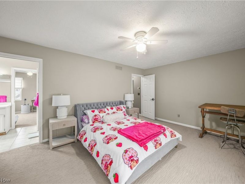 3 Hudson Common Drive, Hudson, OH 44236 Photo 22