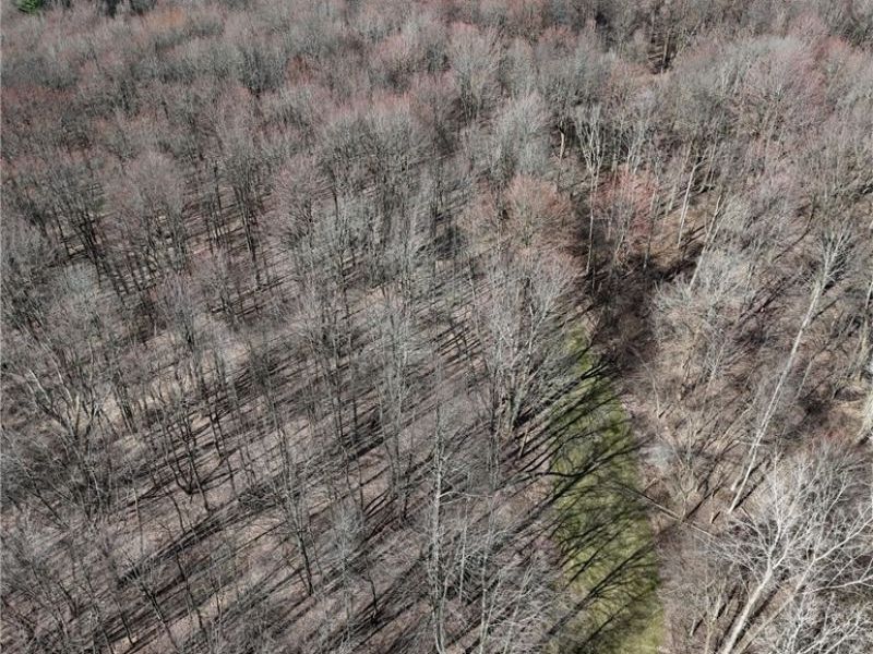 Bell Road, Chagrin Falls, OH 44022 Photo 4