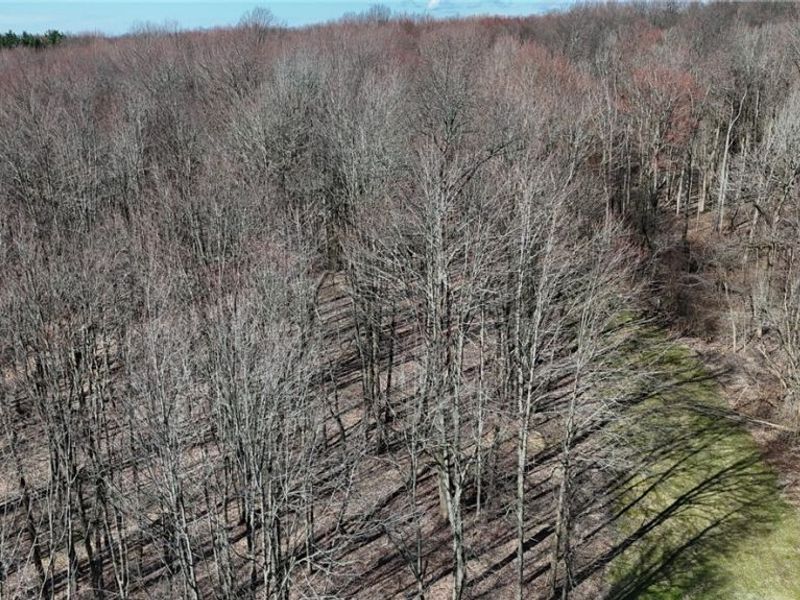 Bell Road, Chagrin Falls, OH 44022 Photo 5