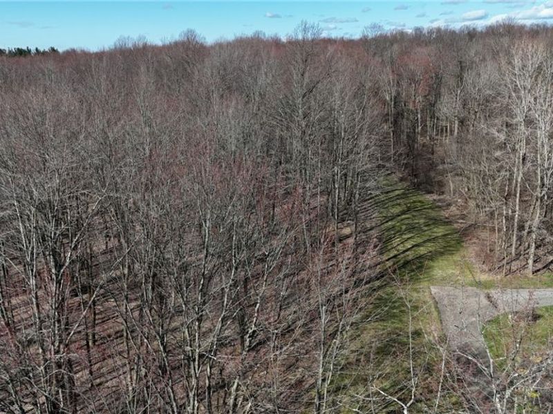 Bell Road, Chagrin Falls, OH 44022 Photo 6