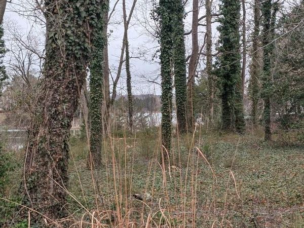 Lot 30Z CLUBHOUSE LOOP , MONTROSS, VA 22520