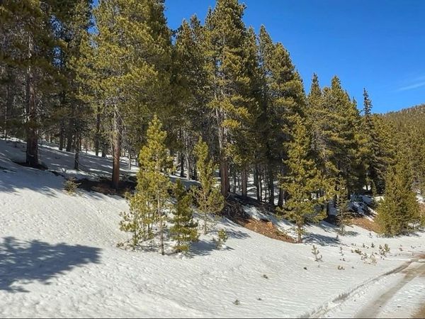 39 Glory Hole Road, Idaho Springs, CO 80452