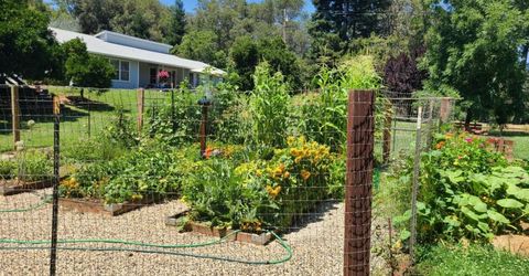 7911 Logan Ln, Penryn, CA 95663 Photo