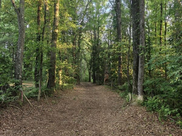 0 Quick Drive, Senoia, GA 30276