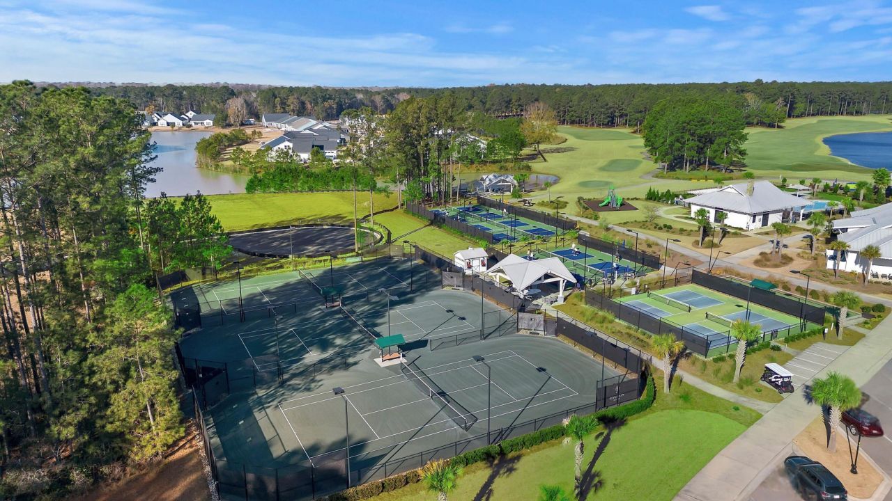 2221 Laurel Oak Avenue Photo 48