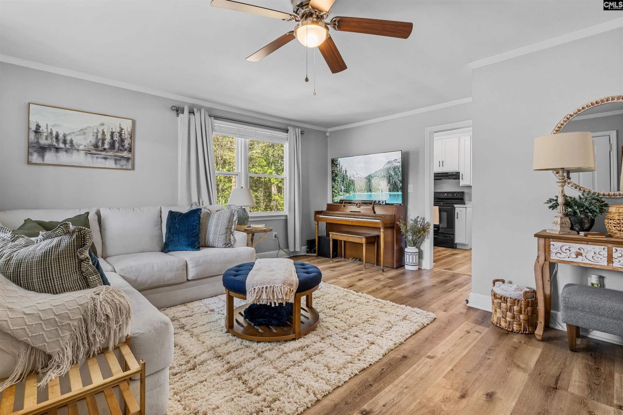 527 Amick Street Photo 5