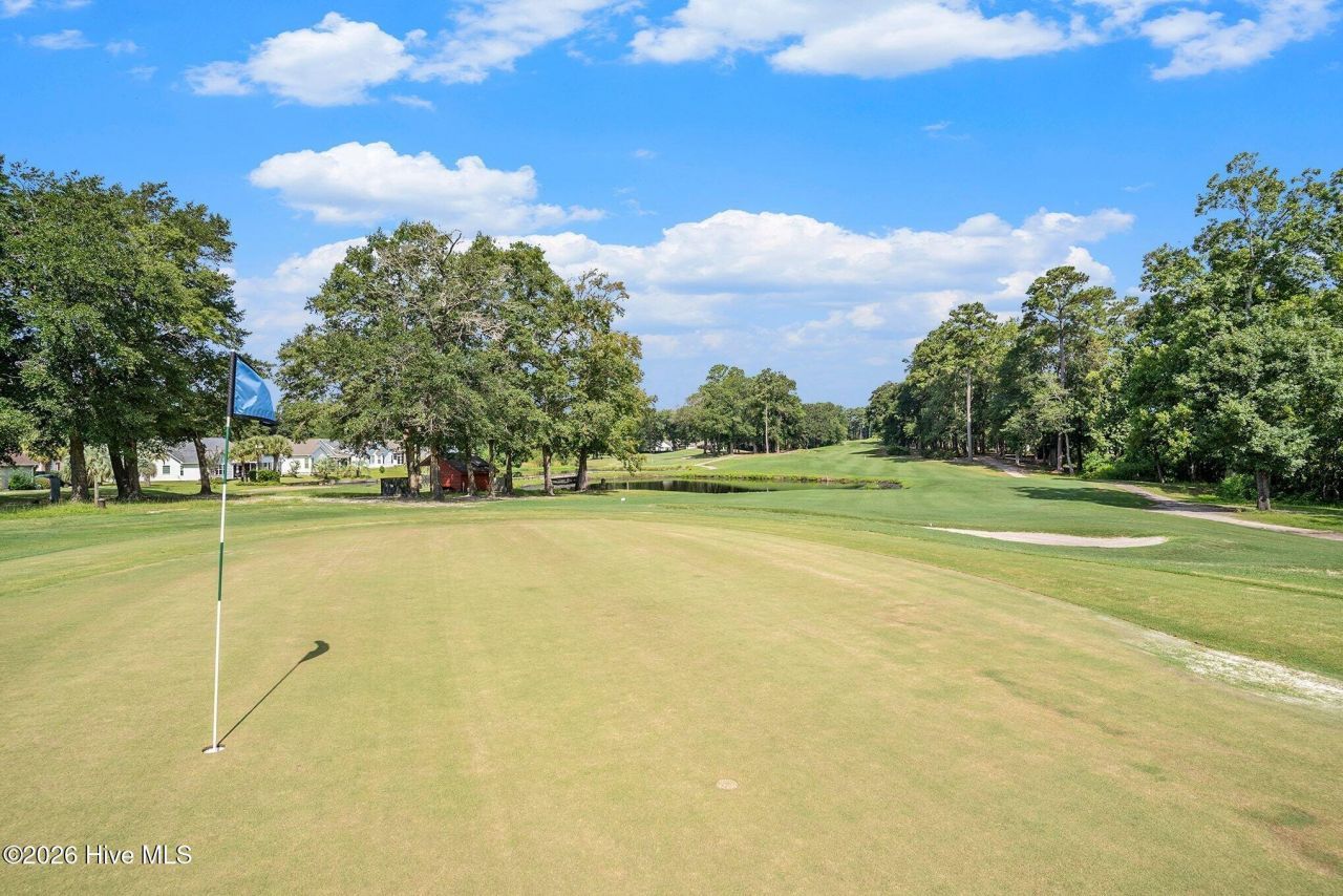 4459 Turtle Lane Photo 32