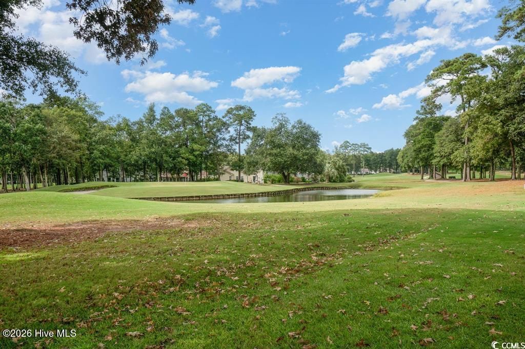 4459 Turtle Lane Photo 34