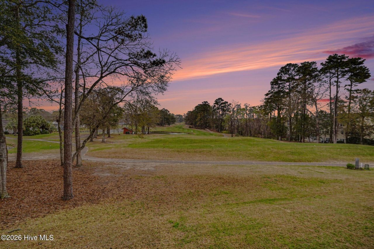 4459 Turtle Lane Photo 35