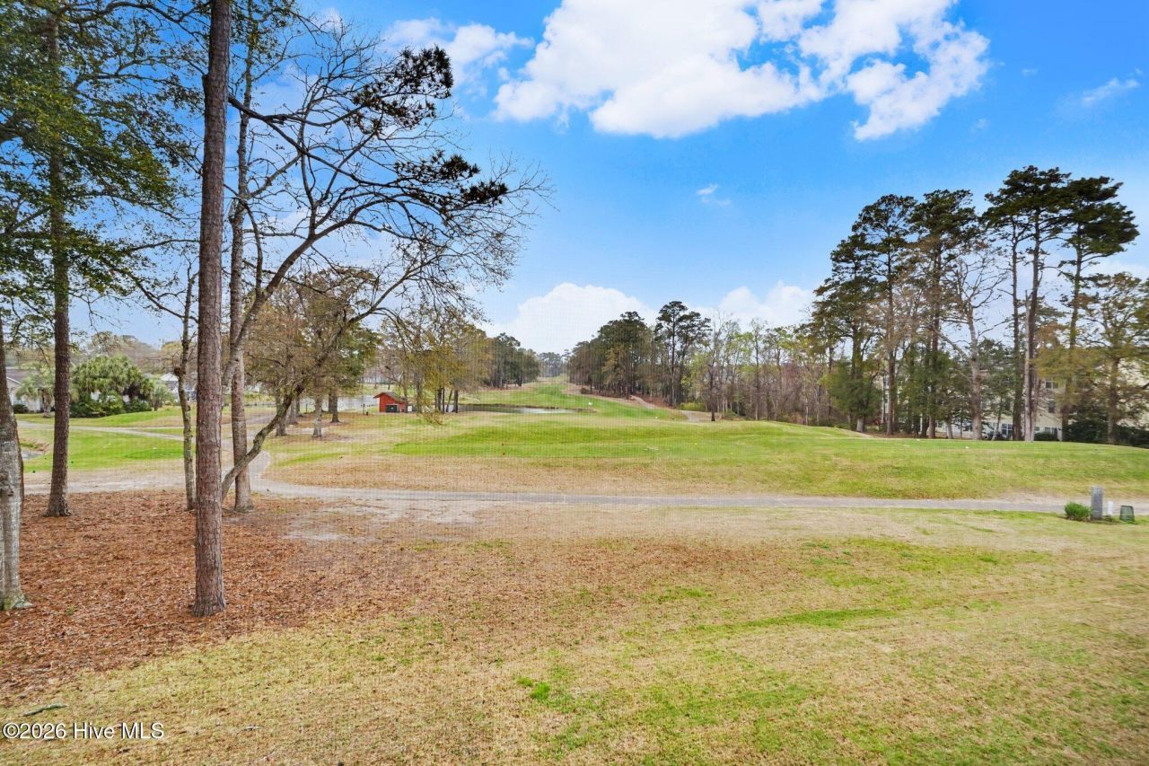 4459 Turtle Lane Photo 36