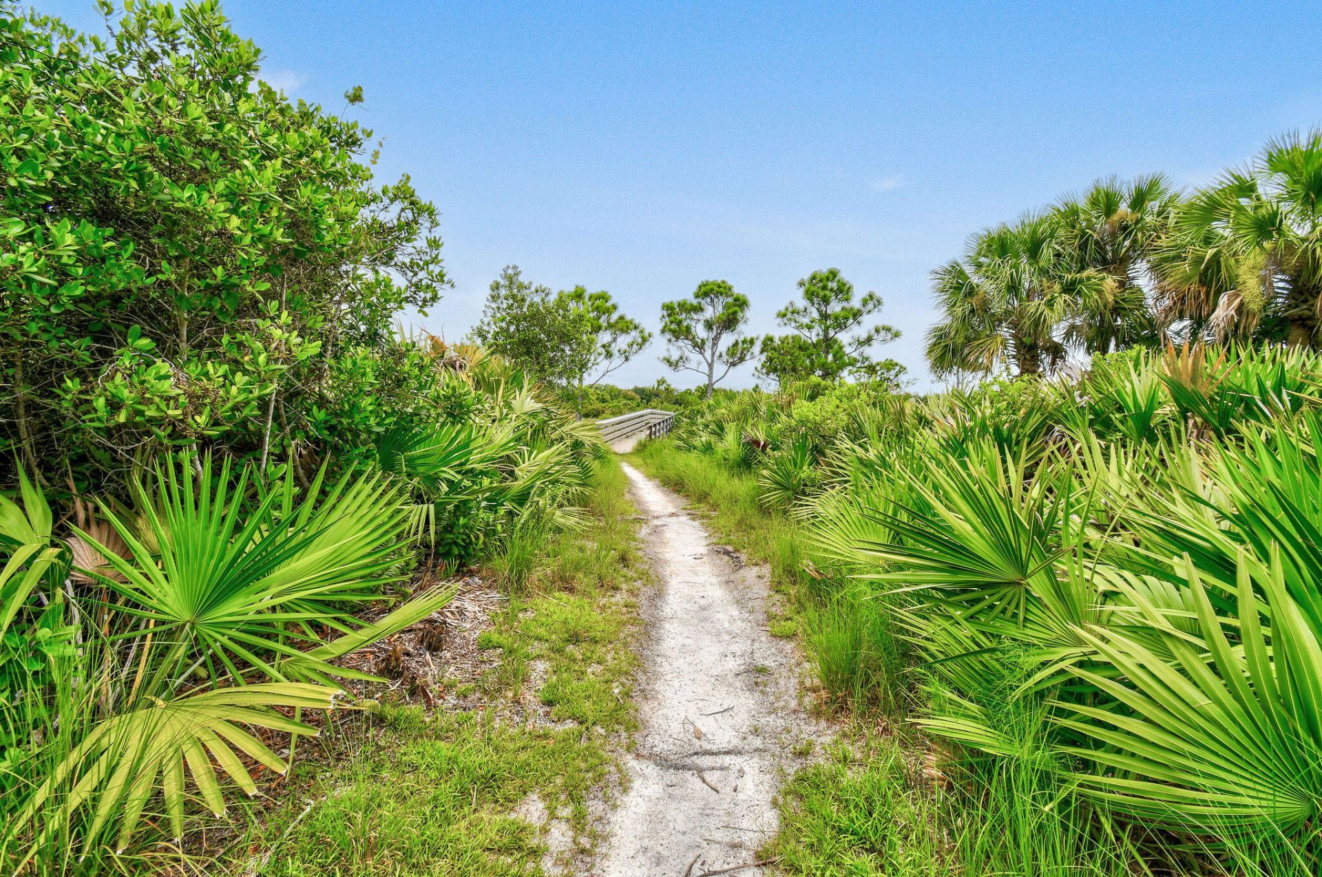 355 E Thatch Palm Circle, Unit 103, Jupiter, FL 33458 Photo