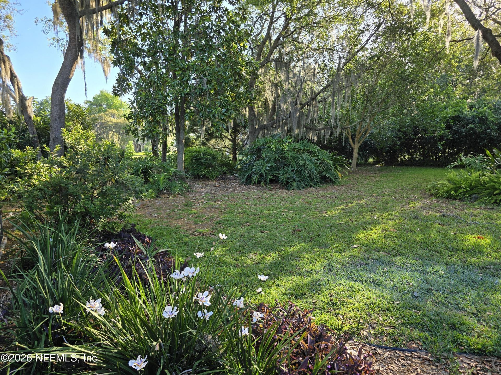 14779 Amelia View Drive, Jacksonville, FL 32226 Photo