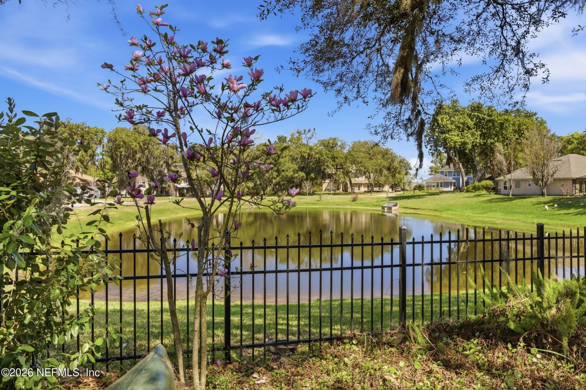 14779 Amelia View Drive, Jacksonville, FL 32226 Photo
