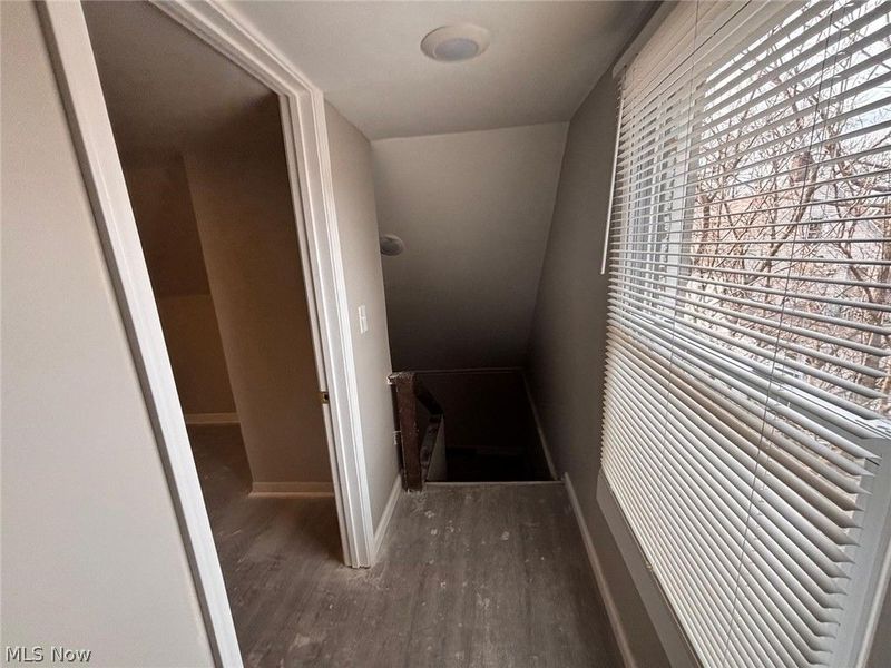 7411 Cornelia Avenue, Unit 2, Cleveland, OH 44103 Photo 12