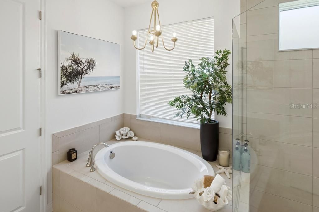 17731 Savory Mist Circle, Bradenton, FL 34211 Photo