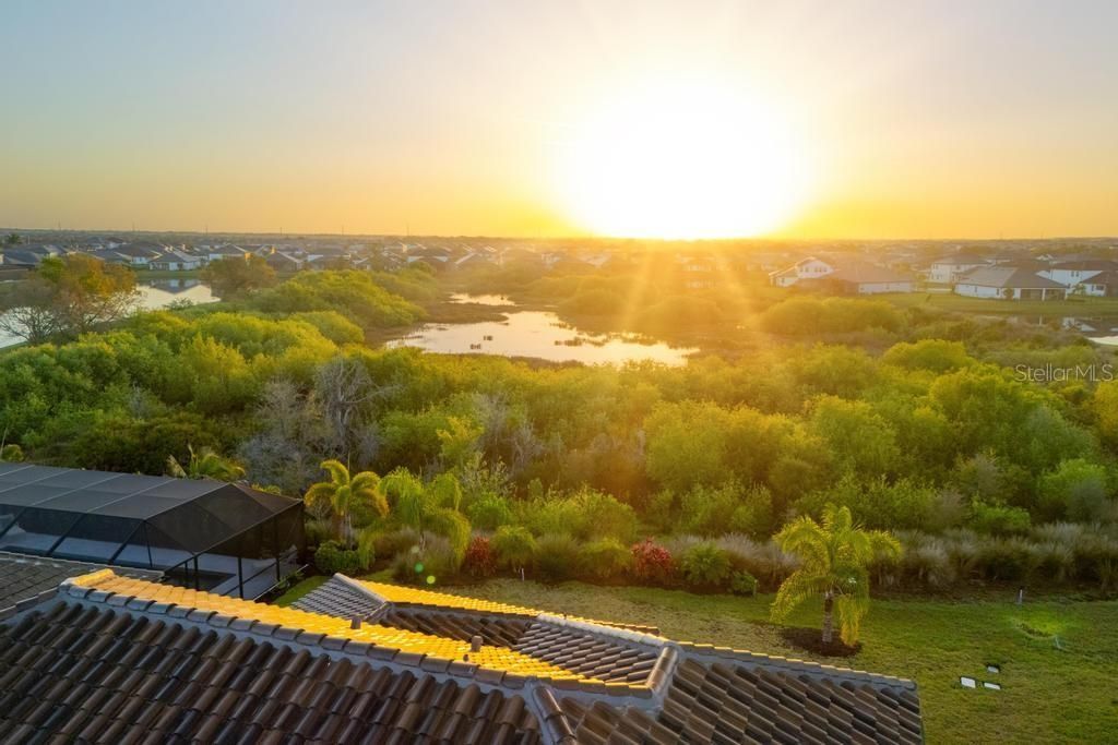 17731 Savory Mist Circle, Bradenton, FL 34211 Photo